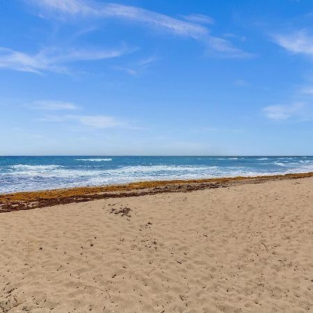 Dania Beach Christmas Getaway Gulfstream Art Exteriör bild